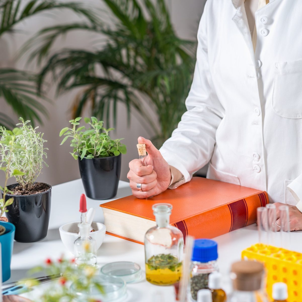 Homeopath. Homeopathic remedy preparation